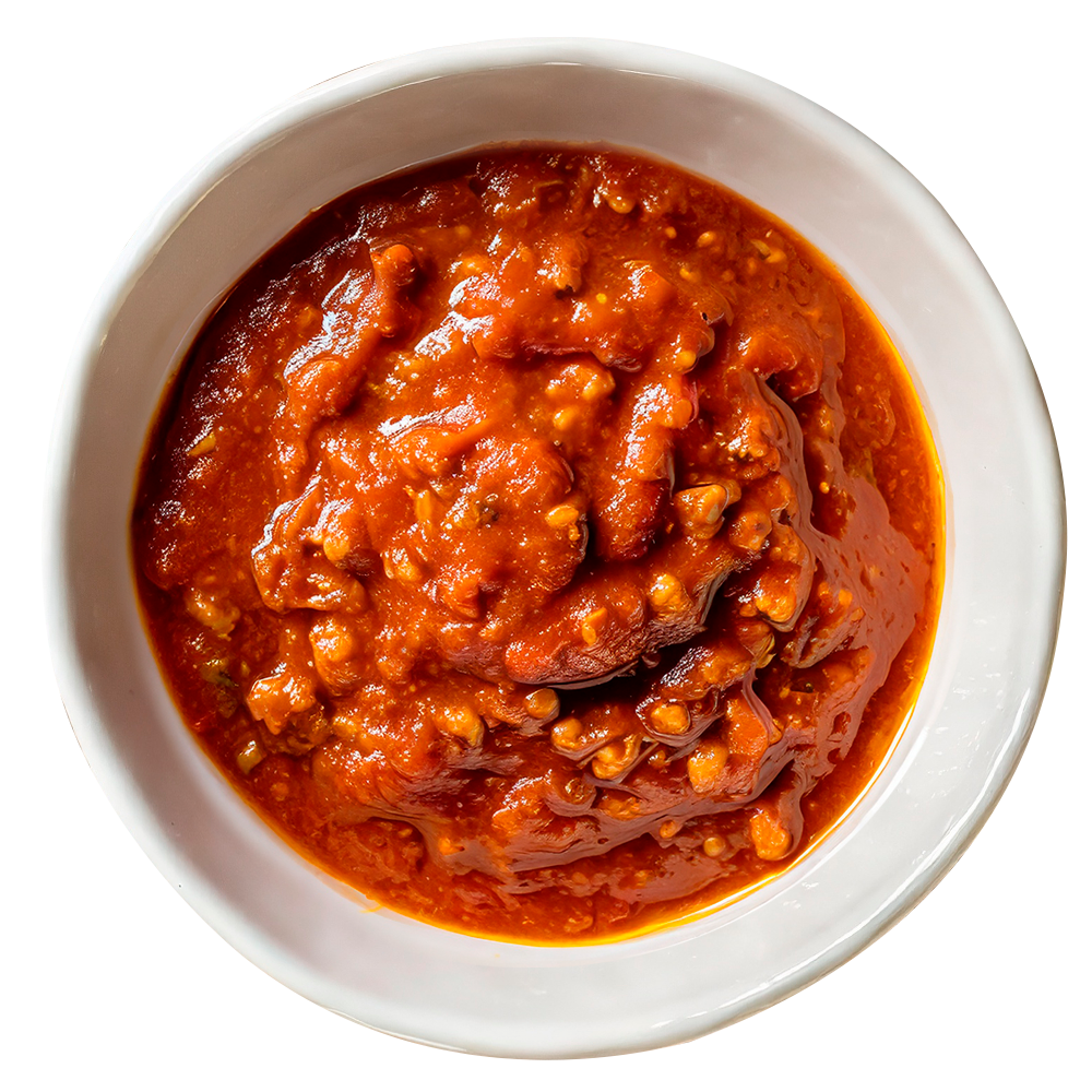 Bolognesa